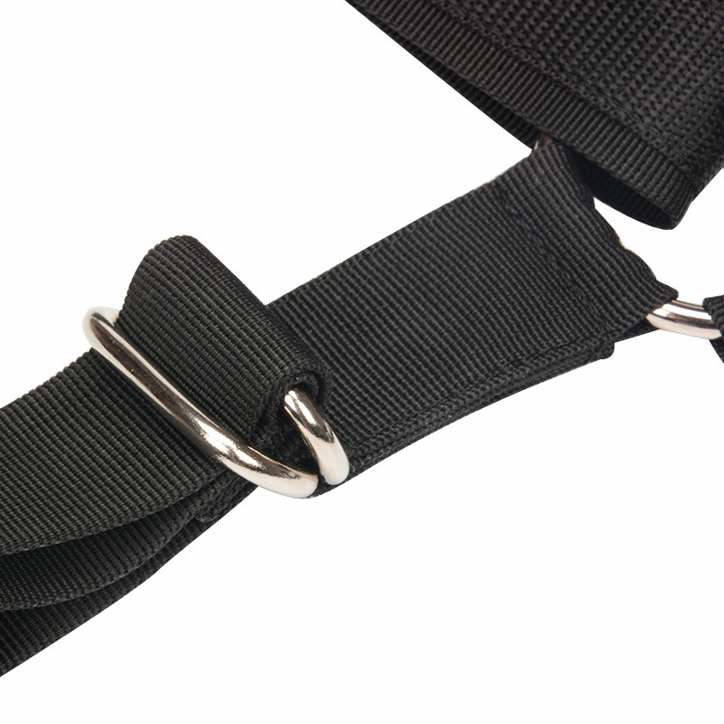 BDSM Sex Toys Bondage Gear Bin - đánh giá và giá Men Accessories Shop