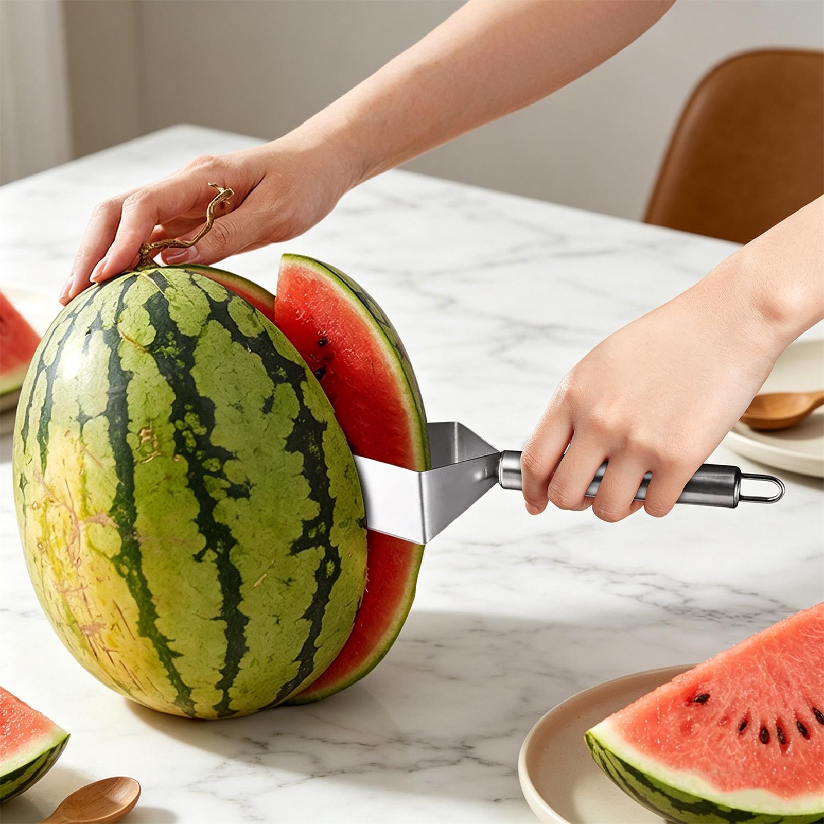 stainless steel Watermelon sli - đánh giá và giá Men Accessories Shop